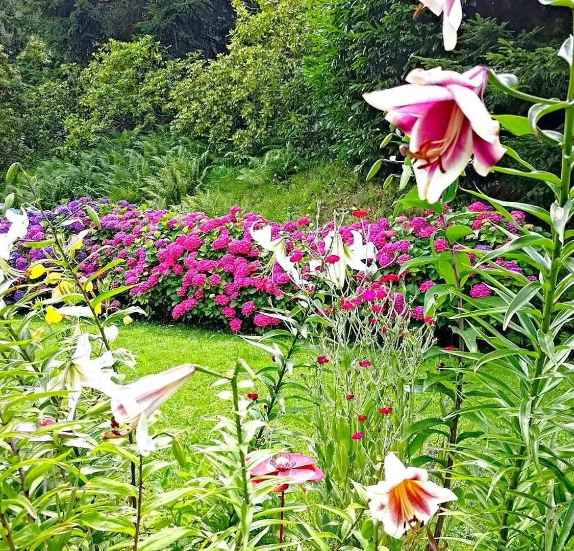 Couette-café Bed and Breakfast Un Jardin Secret à Yzeron